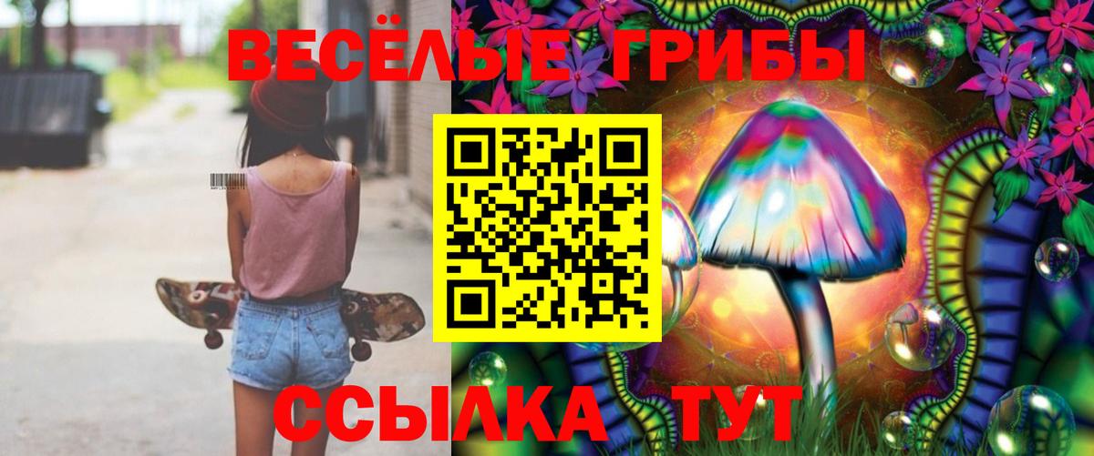 Галлюциногенные грибы GOLDEN TEACHER Чусовой